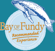 Bay of Fundy Recommended Experience